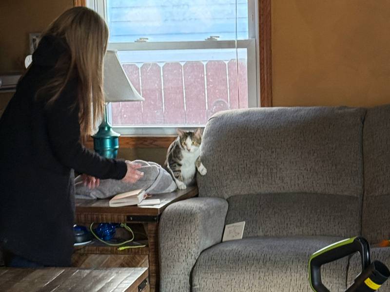 Wonder Lake Fire Protection District Chief Mike Weber caught the moment when a family cat, which had hidden when the family evacuated a house damaged by fire Sunday, Feb. 9, 2025, on Shady Lane, came out from behind the couch in an undamaged part of the home.