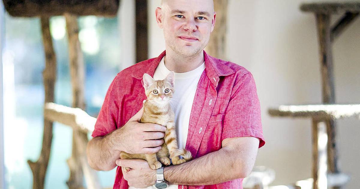 Live stream kitten best sale academy