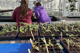 Photos: Preparing for the Great Seed and Soil Event at McHenry County College