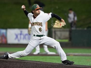5 Things to Do in Will County: Rockin’ the Ville, Joliet Slammers and more