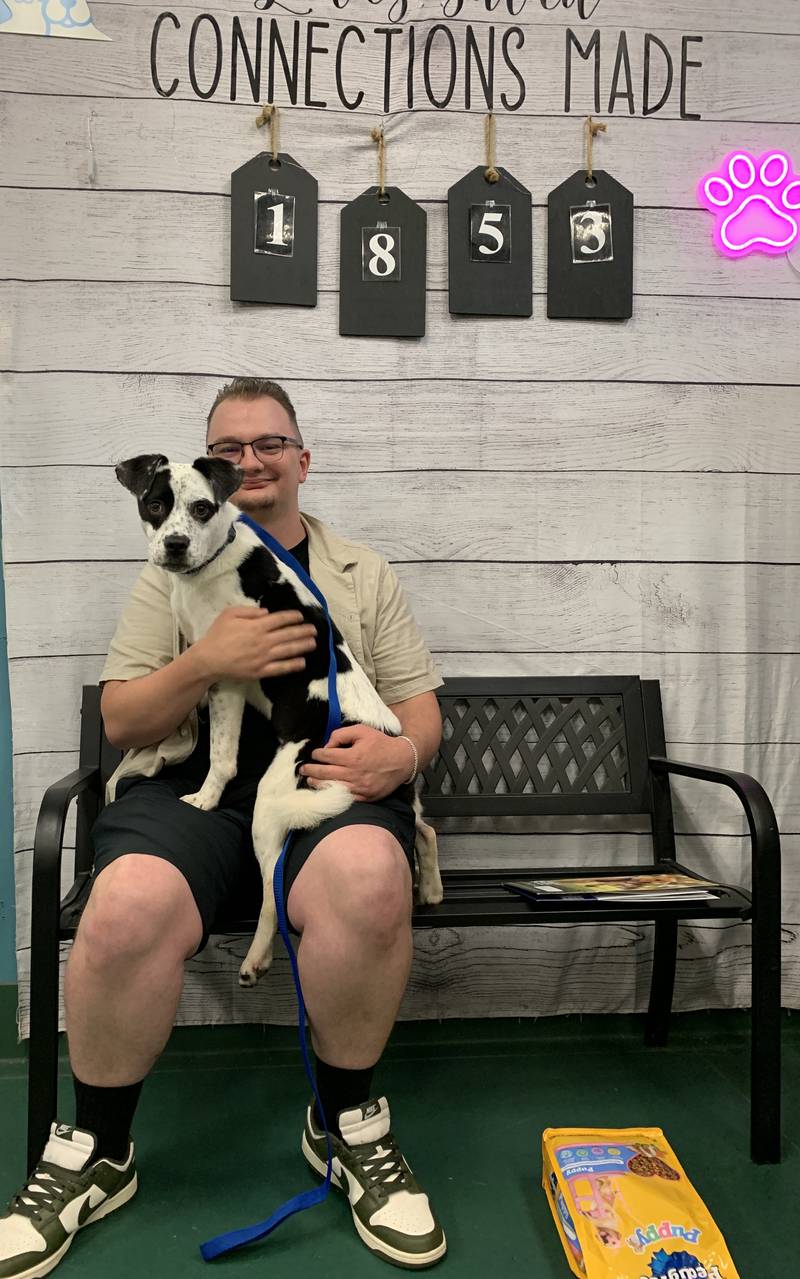 Anderson Humane helps families find their perfect pet match.