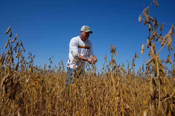 Eye On Illinois: Soybeans, gray area and consumers feeling the squeeze of a tax on leased equipment