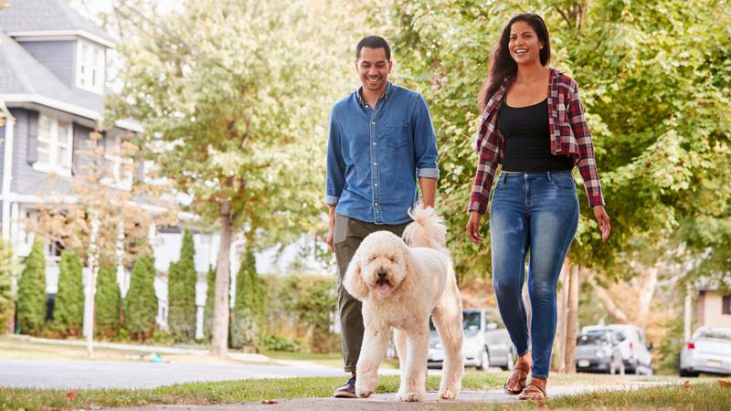 Terrabis - Curious About Cannabis? Tips for Your Lifestyle