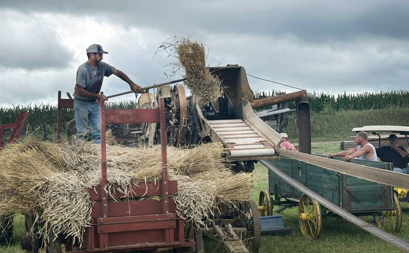 A volunteer uses a pitchfork to toss a sheaf of wheat into a threshing machine at the Bos Brothers Historical Farm on Saturday, July 26, 2025. This year's event focused on harvesting wheat.