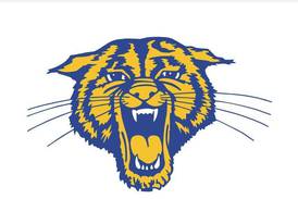 Somonauk cheer heading to state; Raiden Terry wrestles to regional title: The Times Saturday Roundup