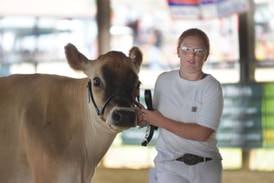 Photos: 2025 Ogle County 4-H Fair