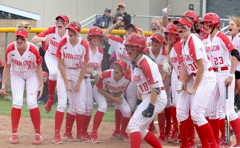 Barrington players prepare to greet teammate Allie Goodwin after Goodwin belted a game-tying home run in the seventh inning during the Class 4A Huntley Sectional championship, Saturday, June 4, 2022.