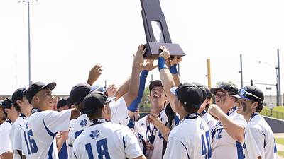 Baseball: Newman rallies to beat Goreville, finish 3rd in IHSA Class 1A State Tournament 