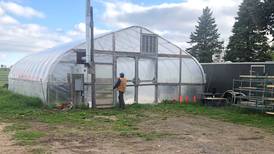 ‘Something stinks’: Slaughterhouse plan near Wonder Lake draws more resident opposition