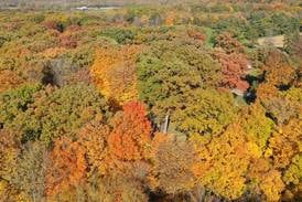 Princeton Park District announce City County Park opening