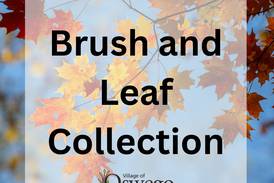 Oswego announces brush collection, leaf pickup dates