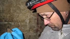The surprising link between protecting bats and the Routes 31 and 47 widening projects in McHenry County