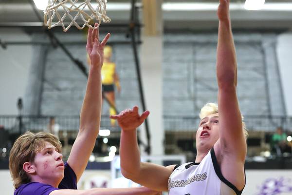 Boys basketball preview: Brody Bruns growing his game as Rochelle Hubs return to action