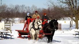 Photos: Farm Life in Winter at Kline Creek Farm