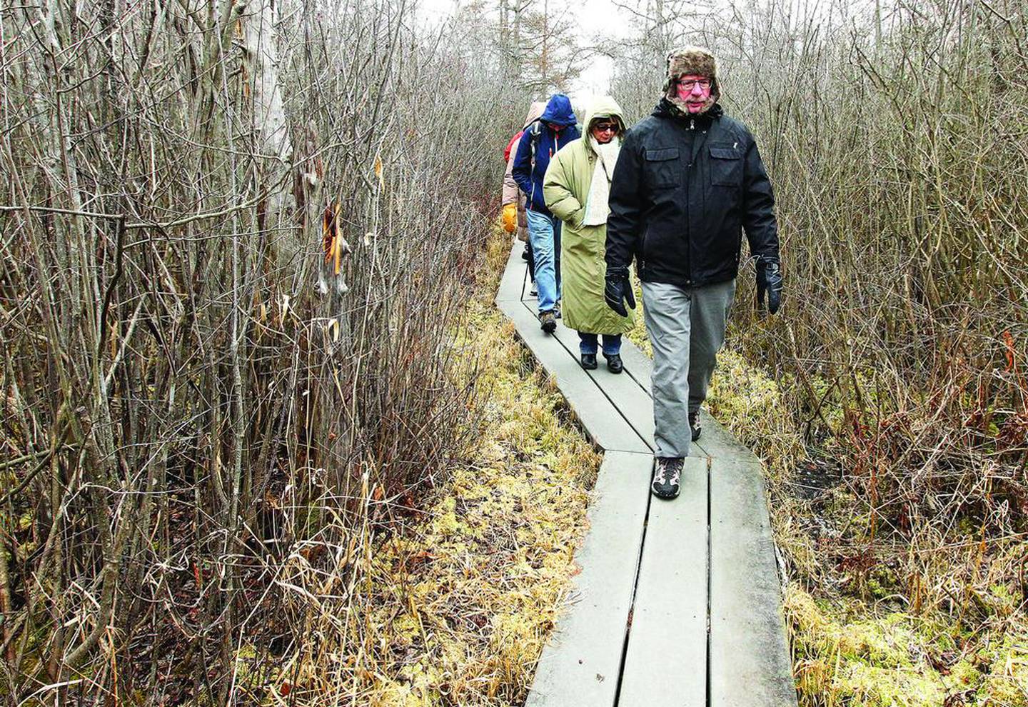 Volunteer guide John Fairgrieve of Hawthorn Woods leads a Bog Tour on the boardwalk Sunday, Jan. 14, 2018, during WinterFest at the Volo Bog State Natural Area in Ingleside.