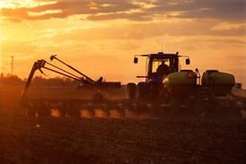 Swing to more soybeans in USDA crop predicted