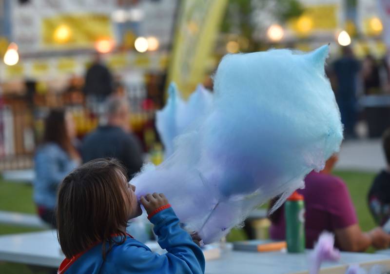 Timmy Krusko, 8, gets started on a huge cotton candy treat at the Cream of Wheaton summer festival in downtown Wheaton on Thursday, May 30, 2024. He was with his family and friends.