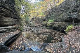 Eye On Illinois: Renewed efforts to invest in well-loved state park system