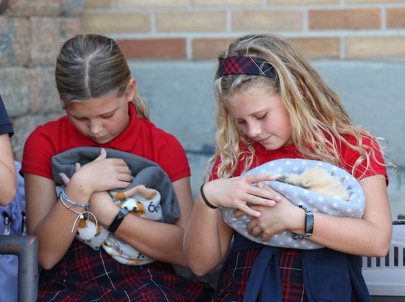 A pair of girls cradle guinea pigs Thursday, Oct. 3, 2024, for the blessing of the pets.