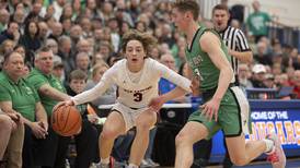 Boys basketball: Sweet 16 loss stings, but doesn’t take away from Fulton’s success