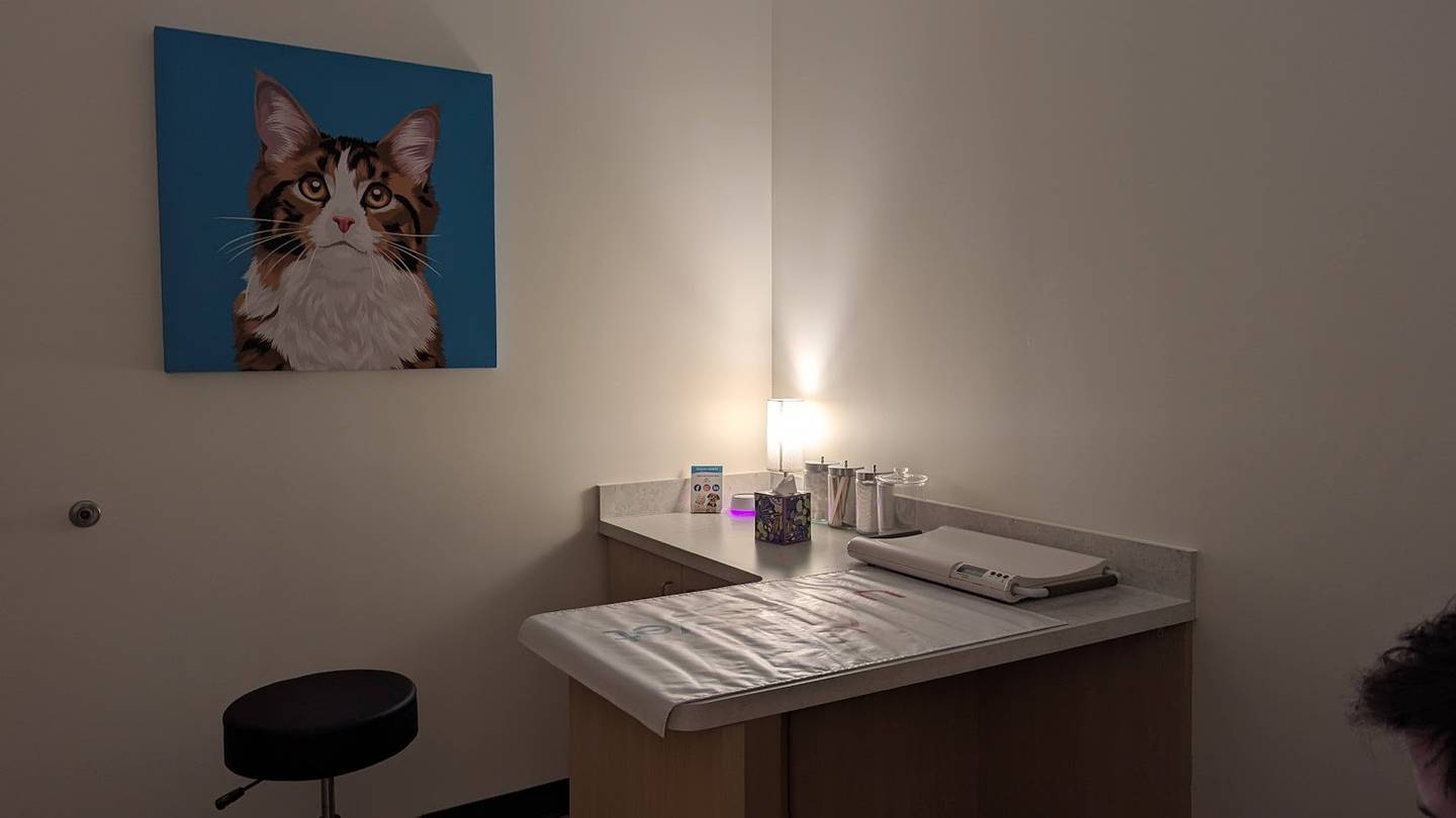 A cat examination room at UrgentVet Joliet, equipped with dimming lights and a sound machine that plays soothing noises, such as rain, is seen on Friday, Feb. 7, 2025.