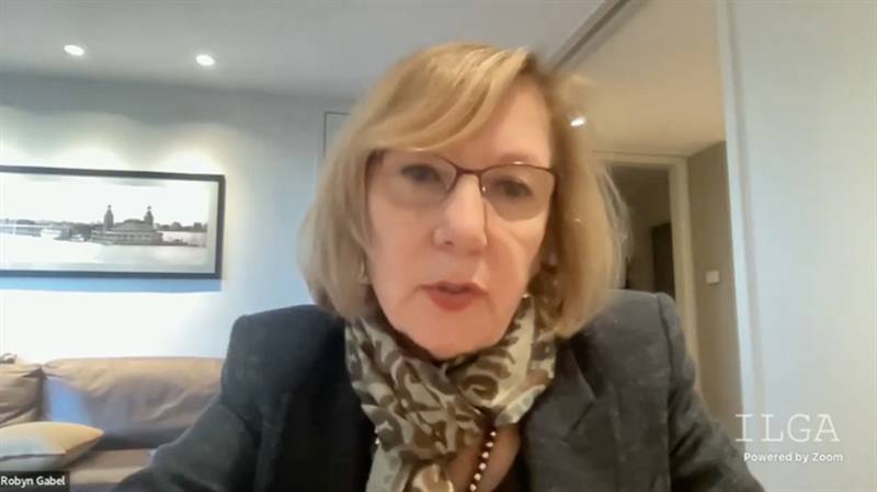 Rep. Robyn Gabel, D-Evanston, introduces another proposal in support of the EV industry during a virtual meeting Tuesday of the House Energy and Environment Committee.