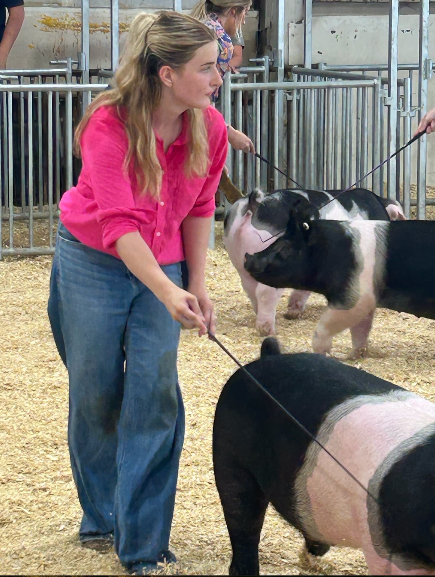 Lydia Hardy competed in the Swine and Sheep divisions at the Section 3 FFA Summer Fair.