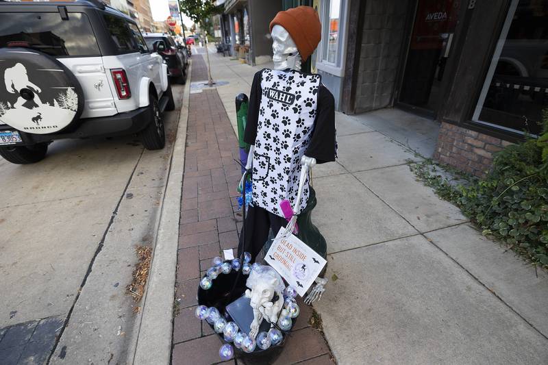 A pet grooming themed scarecrow sets up shop in Dixon Thursday, Oct. 16, 2025.