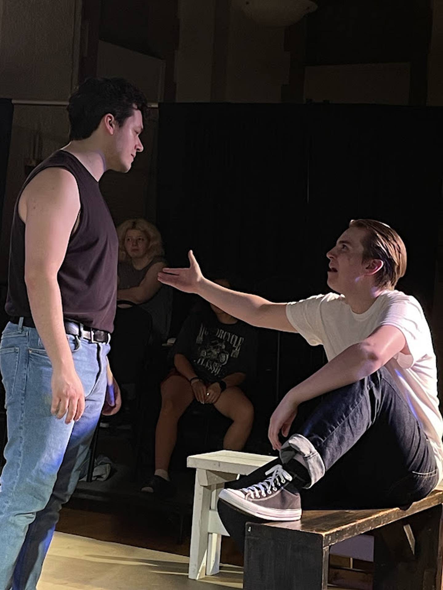 Independent Players in Elgin stages "The Outsiders" through July 7, 2024.