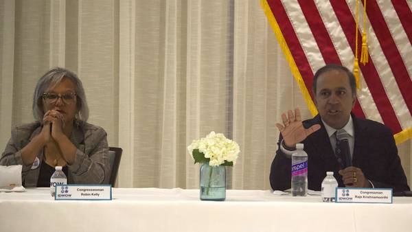 How Illinois’ Democratic U.S. Senate candidates plan to address economic issues
