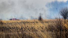 Lee County Board OKs new open-burning rules