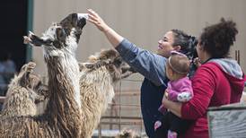 Photo gallery: Chadwick hosts farm open house