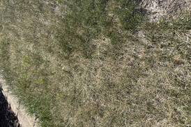 Moderate drought conditions exist for much of northern Illinois 