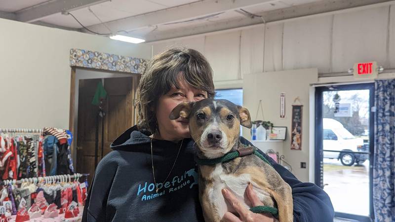 Cassidy, a 2-year-old terrier mix and mother of eight puppies, poses with Tracey Stancik, a volunteer with Hopeful Tails Animal Rescue on Thursday, February 9, 2023. Hopeful Tails is one of four animal rescues that will benefit from the "Comedy for the Critters" fundraiser on Feb. 25.