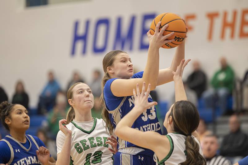 Newman’s Veronica Haley pulls down a rebound against Wethersfield Thursday, Feb. 26, 2026, in the Class 1A sectional semifinal at Eastland.