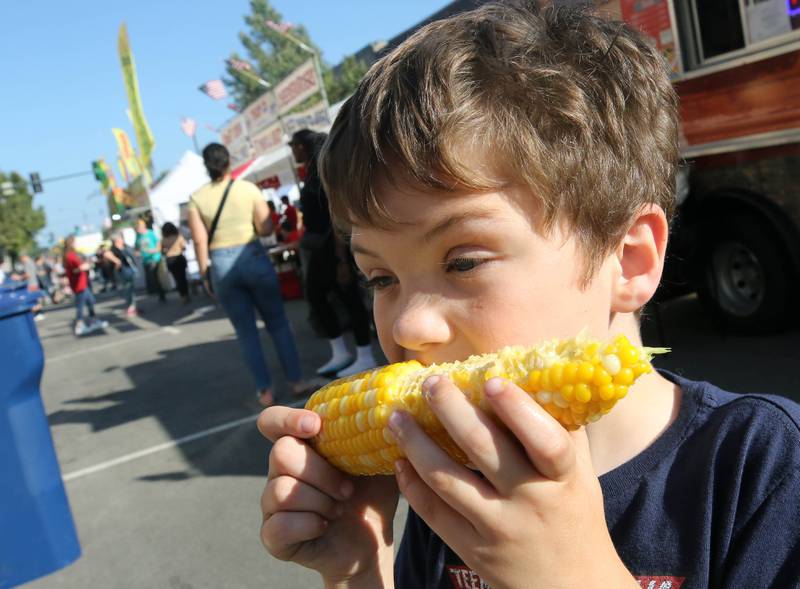 Isaac Sharp, 6, from DeKalb, chows down on some sweet corn Friday, Aug. 23, 2024, during the DeKalb Corn Fest in downtown Dekalb.