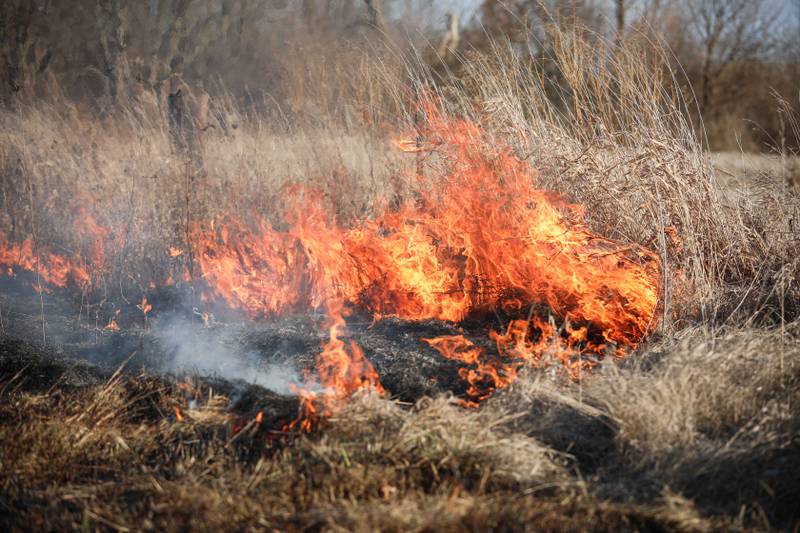 Fourteen acres of land were burned Thursday, Jan. 30, 2025 in a brush fire near Harvard.