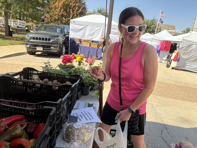 Tawny Havert of Huntley picks out a potato at the Huntley Farmers Market Oct. 4, 2025.