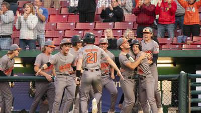 Photos: McHenry vs.South Elgin, Class 4A Kane County Cougars Supersectional baseball