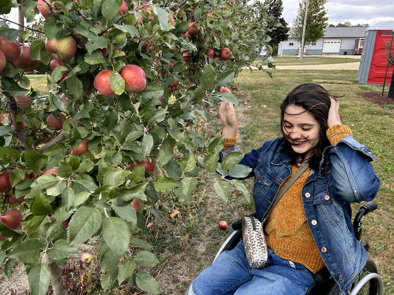 Maggie Vazquez, 16, of Chicago, battled the wind gusts on Sunday, Oct. 13, 2024 to pick apples at BerryView Orchard during the Ogle County Farm Stroll. The orchard was one of six stops offered at this year's event.