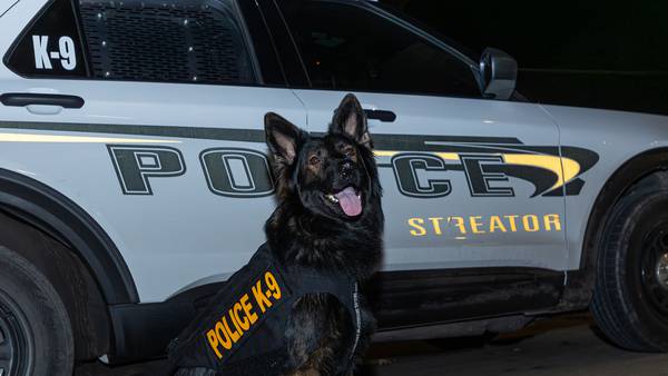Streator police K9 Bo receives donated body armor