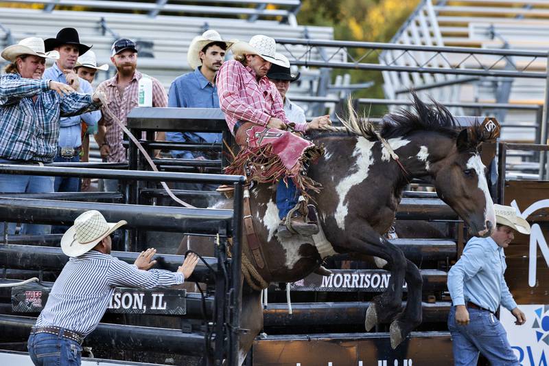 Tristan McClellan comes out of the gate Wednesday, August 13, 2025, at the Whiteside County Fair during the Next Level Pro Bronc rodeo.