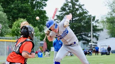 Photos: Kewanee at Princeton baseball
