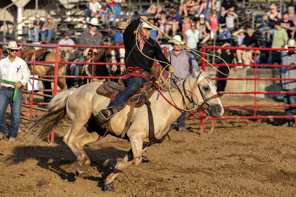 Rodeo fun at the Carroll County Fair