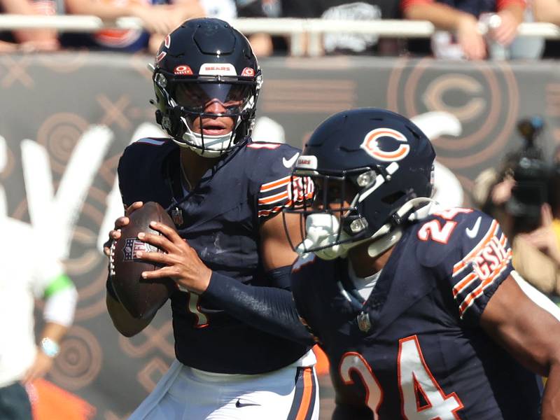 nfl news bears