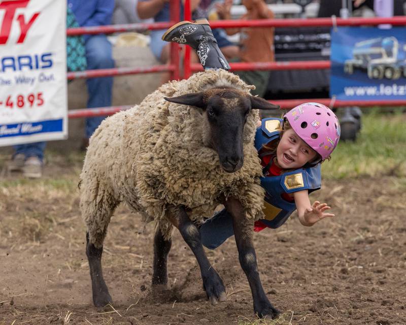 Marie Foster falls off of a sheep during the mutton busting event for kids prior to the start of the LaSalle County 4H Fair rodeo on July 11, 2025 in Ottawa.