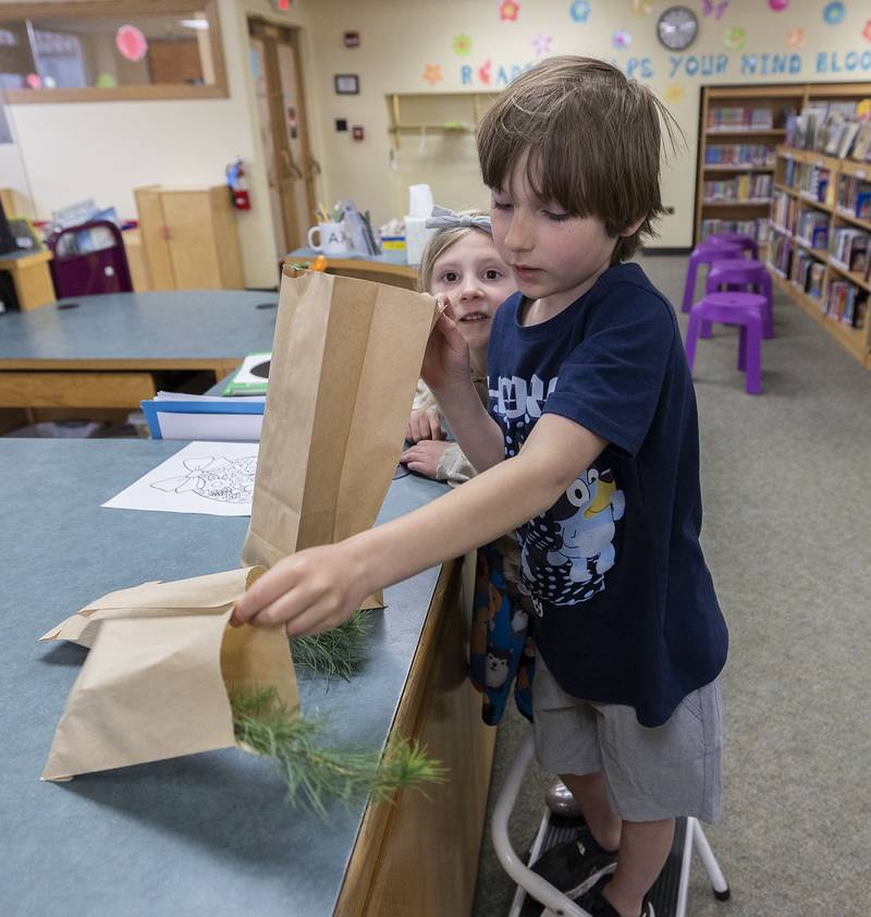 Tucker Gomes, 7, and sister Emmilyn, 5, pick up a pair of pines Monday, April 22, 2024 at the Dixon library. The Gomes family took part in a program by Neighborhood Forest to distribute over 67,000 trees this Earth Day. The organization teams up with schools, libraries and youth groups to instill the importance of trees on the young ones.