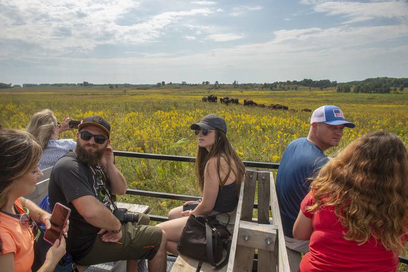 Visitors were able to get a close look at about half the bison herd at Nashusa Grasslands during a tour Saturday as part of Autumn on the Prairie.
