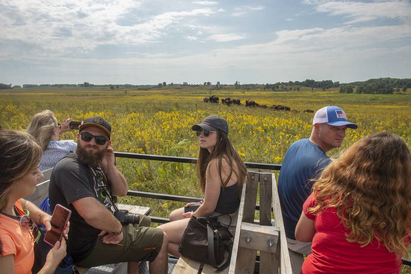 Visitors were able to get a close look at about half the bison herd at Nashusa Grasslands during a tour Saturday as part of the 2022 Autumn on the Prairie. This year's event is Saturday, Sept. 16.