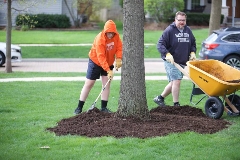 Volunteers Joe Stock and Kevin Stock work to put mulch around a tree at Fishel Park to celebrate Earth Day on Saturday, April 22, 2023 in Downers Grove.